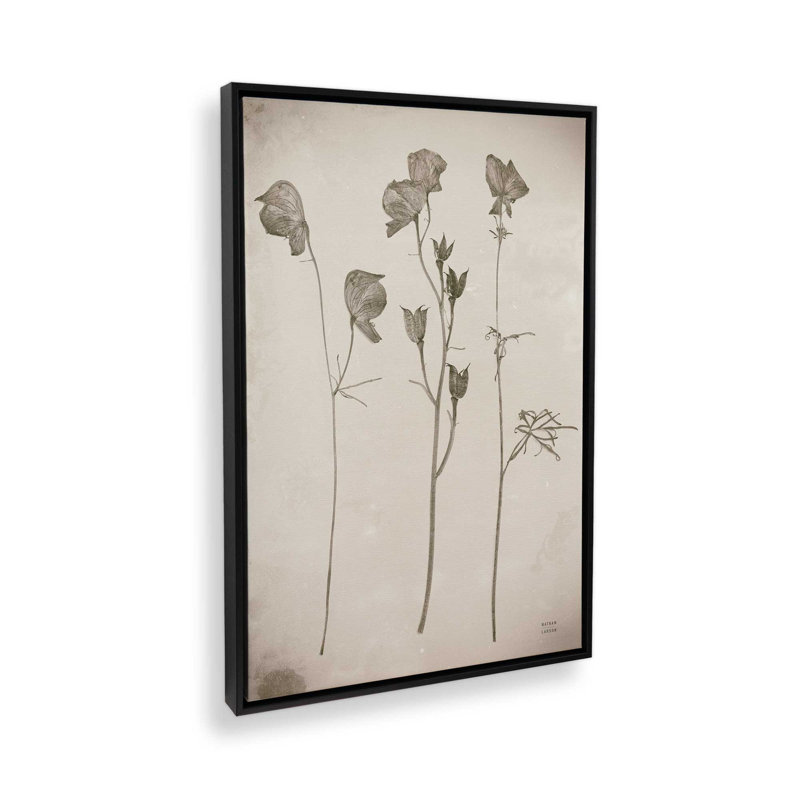 «Wildflower Journal Vintage III» par Nathan Larson, reproduction d'art sur toile, Noir, Cadre flottant, H 30 po x l 20 po