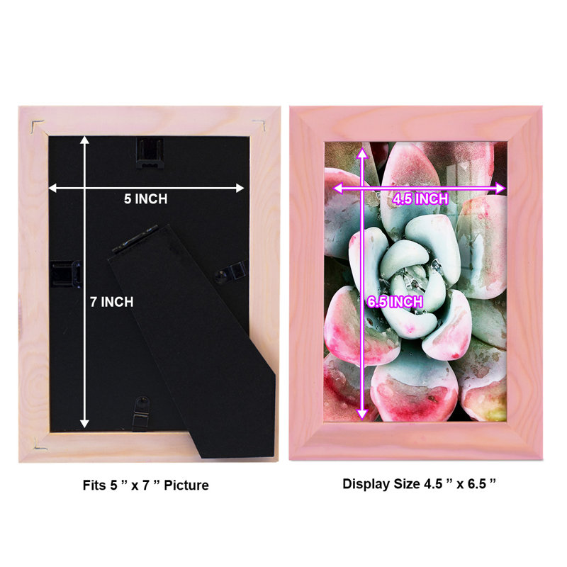 Pastel Succulent Beauty V, reproduction d'art sur papier, H 6 po x l 4 po x P 1 po, Rose