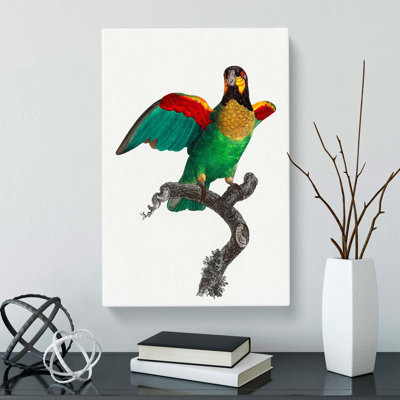 Orange-Cheeked Parrot by F. Levaillant - Wrapped Canvas
