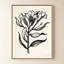 «Ink Flower I Cream» par Sara Zieve Miller - Impression sur toile