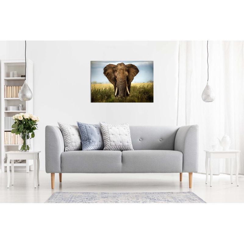 Elephant In Safari Close Up - Wrapped Canvas Print, 51cm H x 76cm W