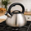 Creative Home 3 Quarts Stainless Steel Whistling Stovetop Tea Kettle-9762554