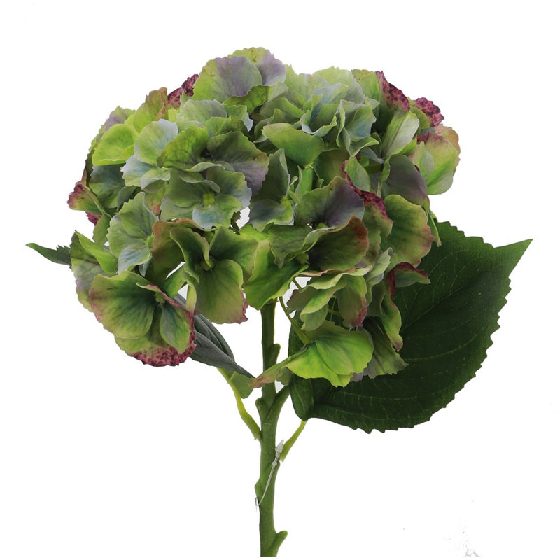 Fleur artificielle d'hortensia Natural Touch, Vert