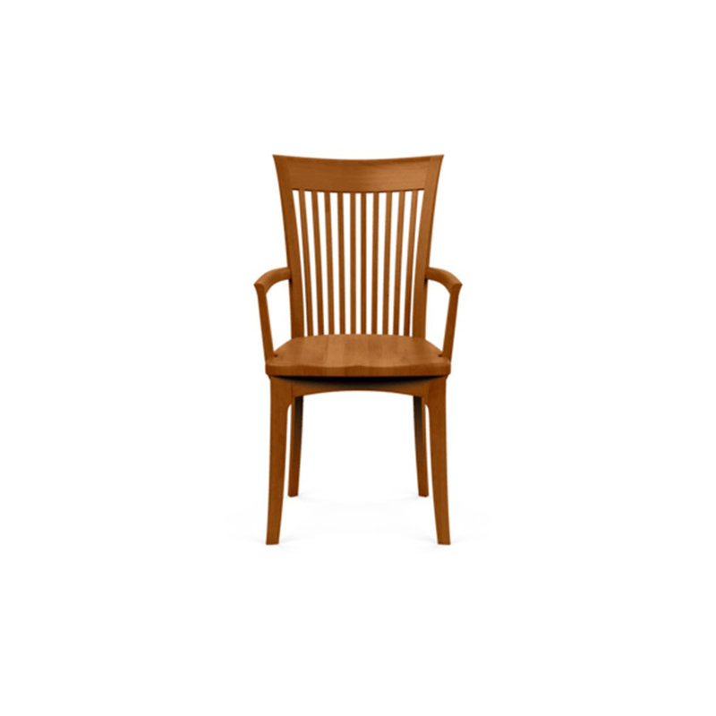 Sarah 19.25'' H Upholstered Armchair, Autumn Cherry, None