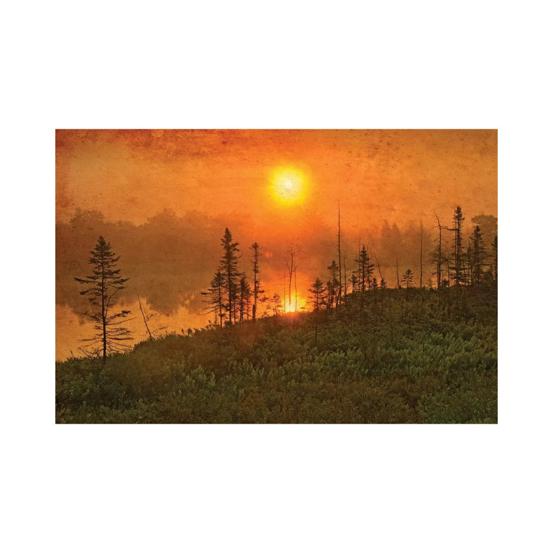 Canada. Wetland Sunrise. by Jaynes Gallery - Wrapped Canvas Gallery-Wrapped Canvas Giclée, 66.04cm H x 101.6cm W