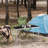 Rectangular Yes Outdoor Camping Table , 47.24 " W 23.62 " D-2092971103