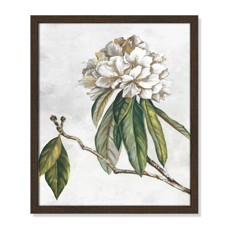 «Pearly Beauty II» par Eva Watts, Grain de bois noyer, L 16 po x H 19 po, Impression encadrée