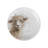 Wrendale Designs - Assorted Coupe Side Plates