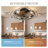 20.4" Bloneva Farmhouse Caged Ceiling Fan with Light Kit and Remote Control Included-1670758969