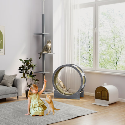 3912.57 cm H Cat Tree / Condo