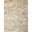 Tapis beige / olive noué à la main de conception unique 15 pi x 22 pi 2 po