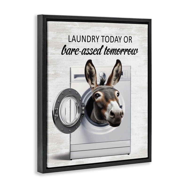 Cadre flottant Sassy Laundry, H 31 po x l 25 po, Cadre flottant noir de jais