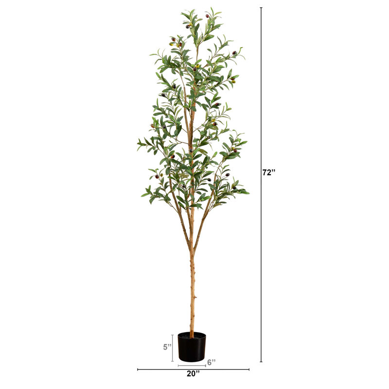 6ft Tall Faux Olive Tree with Natural Trunk in Gray Pot