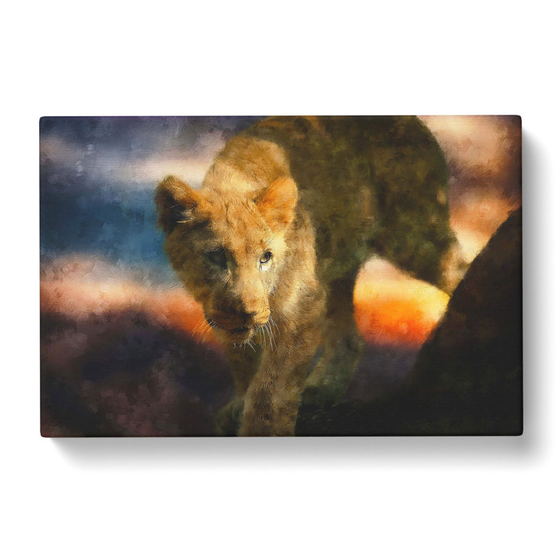 Lion Cub - Wrapped Canvas, 50cm H x 76cm W x 3cm D