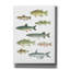 «Fresh Catch 5» par James Wiens, art mural sur toile-316863626