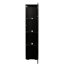 Armoire latérale noire avec lampe vibrante à bande en aluminium - Grand espace de rangement créé l 40 x P 29 x H 170 cm 48,18 lb Spacieux et fini