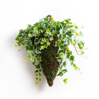Panier à plantes 22 po