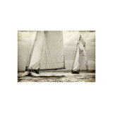 Sailing South Print by Sofia Fox