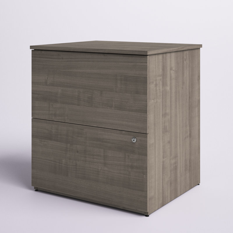 Oshinski 2 Drawer Lateral File, Silver Maple
