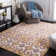 Braswell Performance Ikat Rug