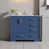 Bleu est en rupture de stock