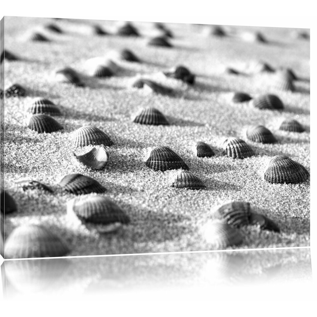 Leinwandbild „Muscheln im Sand“, Fotodruck