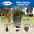 Pot Planter