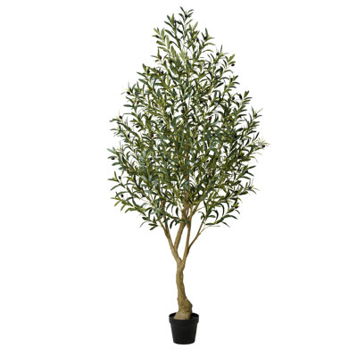 Adcock 84" Olive Tree in Pot