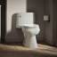 Cimarron® 1.28 GPF Water Efficient Elongated One-Piece toilet (Seat Included)-1531753154-1548364236