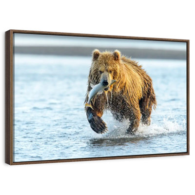 Grizzly Bear With Salmon