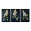 Floral Study Series LIX - ensemble de toiles tendues avec châssis Premium - prêt à être accroché-805216632