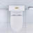 Elongated One Piece Toilet-109542934