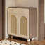 Shoe Storage Cabinet-1173650249-1173650254