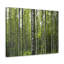 No Frame Print on Canvas-1706869502