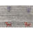 Performance Wool Oriental Indoor Rug