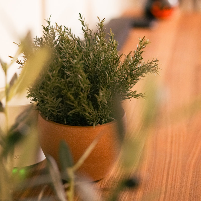11" Grass in Matte Medium Terracotta Ceramic