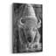 Art mural en verre 12 po x 16 po «Woodgrain Antiques White Buffalo» par Gordon Semmens-101614001