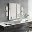 Cailum 2 - Light Dimmable Vanity Light-1977630884