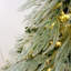 Arbre de Noël enneigé épinette 5 pi-1193522195