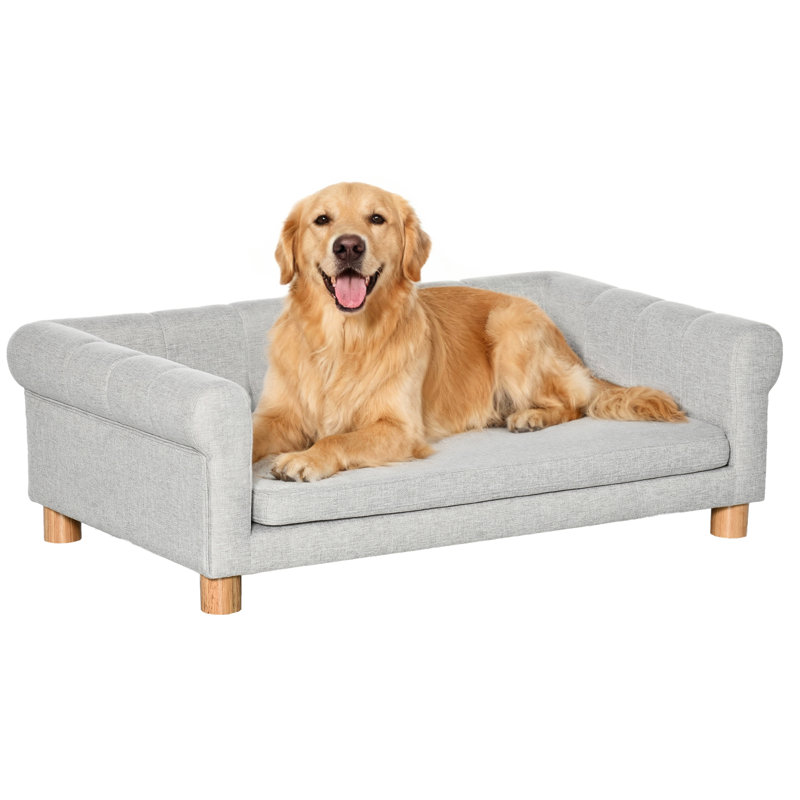 Canapé moderne pour chien