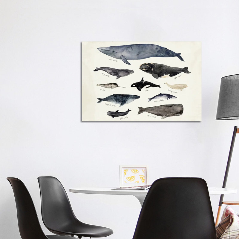 Whale Chart III by Victoria Barnes - Wrapped Canvas Painting, 101.6 cm H x 66.04 cm W x 3.175 cm D