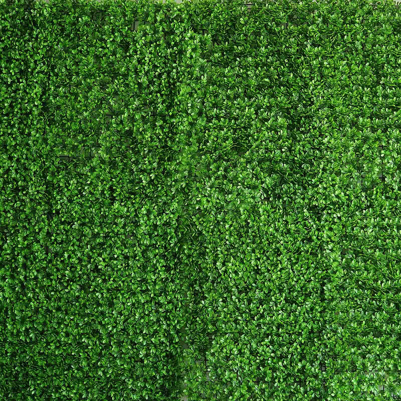 24'' Faux Hedge