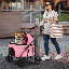 Poussette 3 en 1 avec transporteur amovible, poussette pliable pour chien avec poignée rembourrée