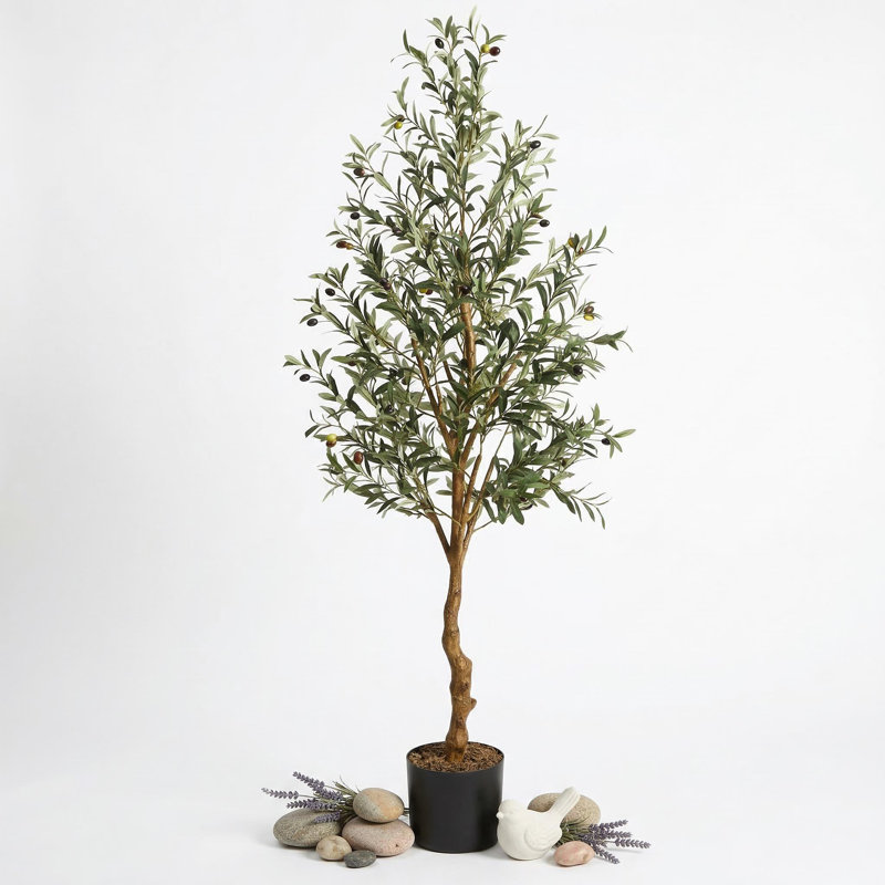 180cm Plant