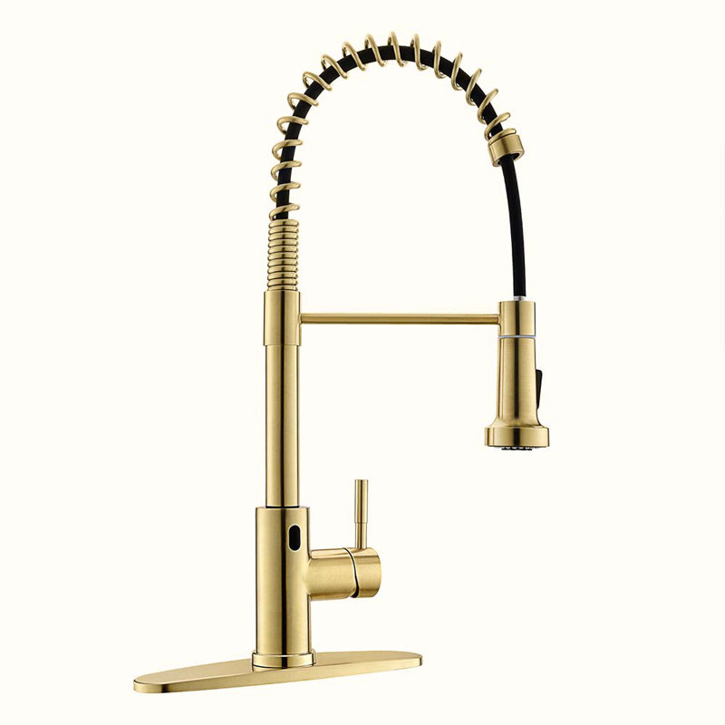 HOOSENG Pull Down Touchless Kitchen Faucet, Brushed Gold