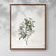 Imprimé floral rétro CCII-834390466-834390467