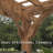 Ensemble de pergola d'extérieur en bois de cèdre 16 pi x 12 pi avec toit en treillis et PowerPort Backyard Discovery Beaumont