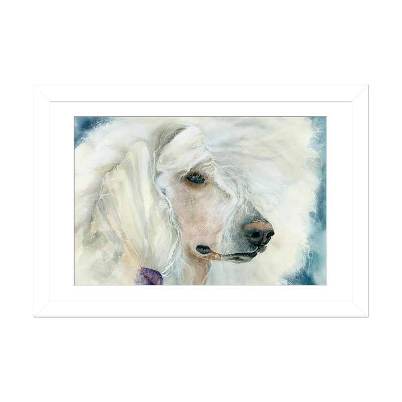 Continental chic - Caniche blanc_1PFA, Cadre blanc, H 16 po x l 24 po