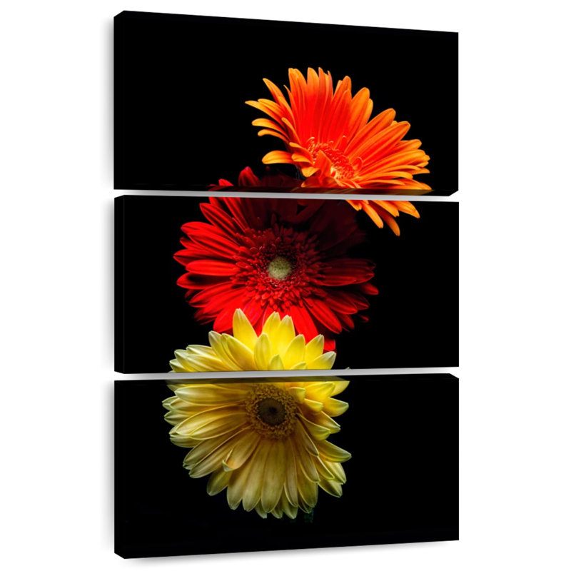 Trois marguerites lumineuses Harnek, H 50 po x l 32 po