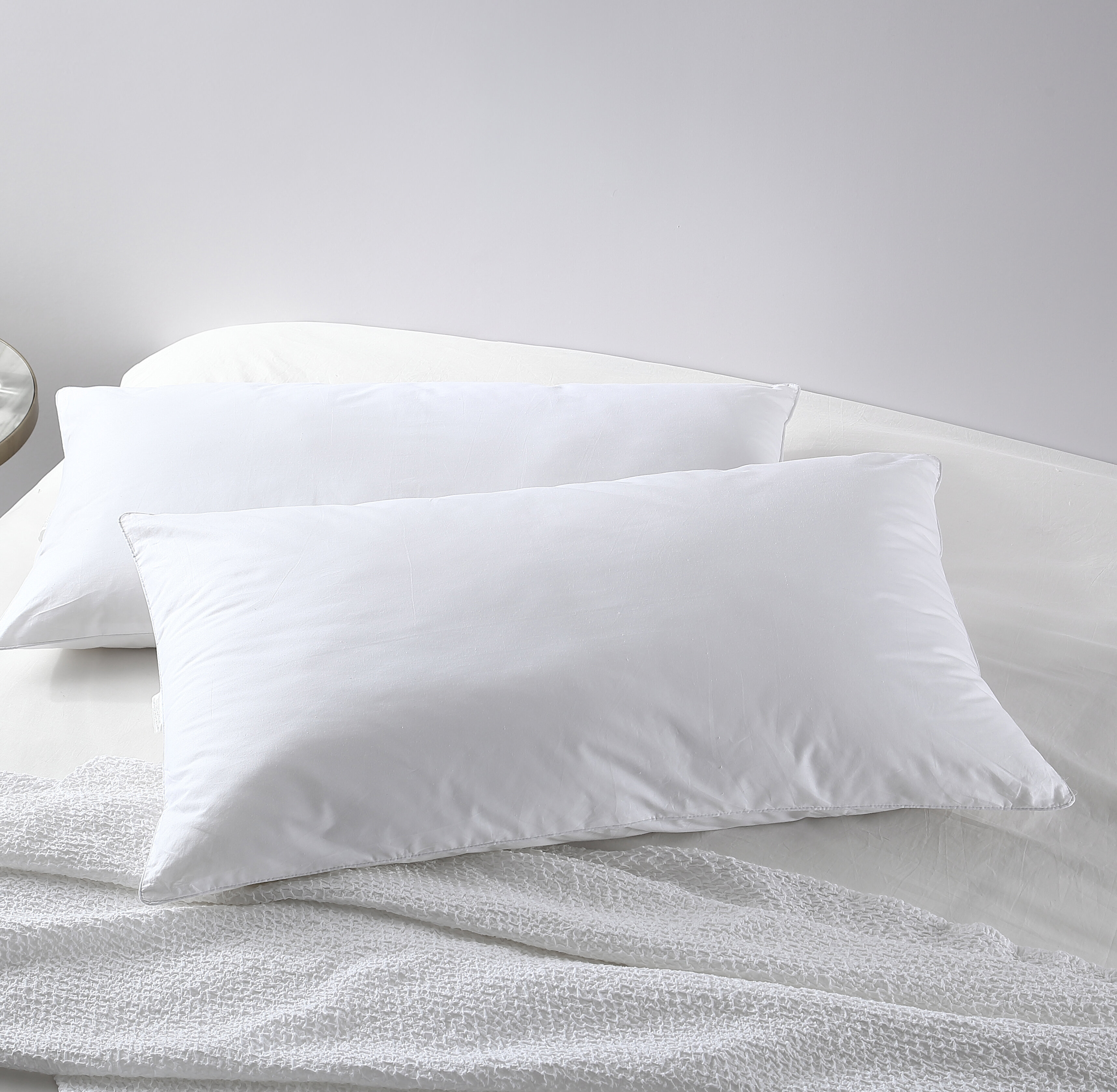 Alwyn Home Roisin Pillow Insert & Reviews